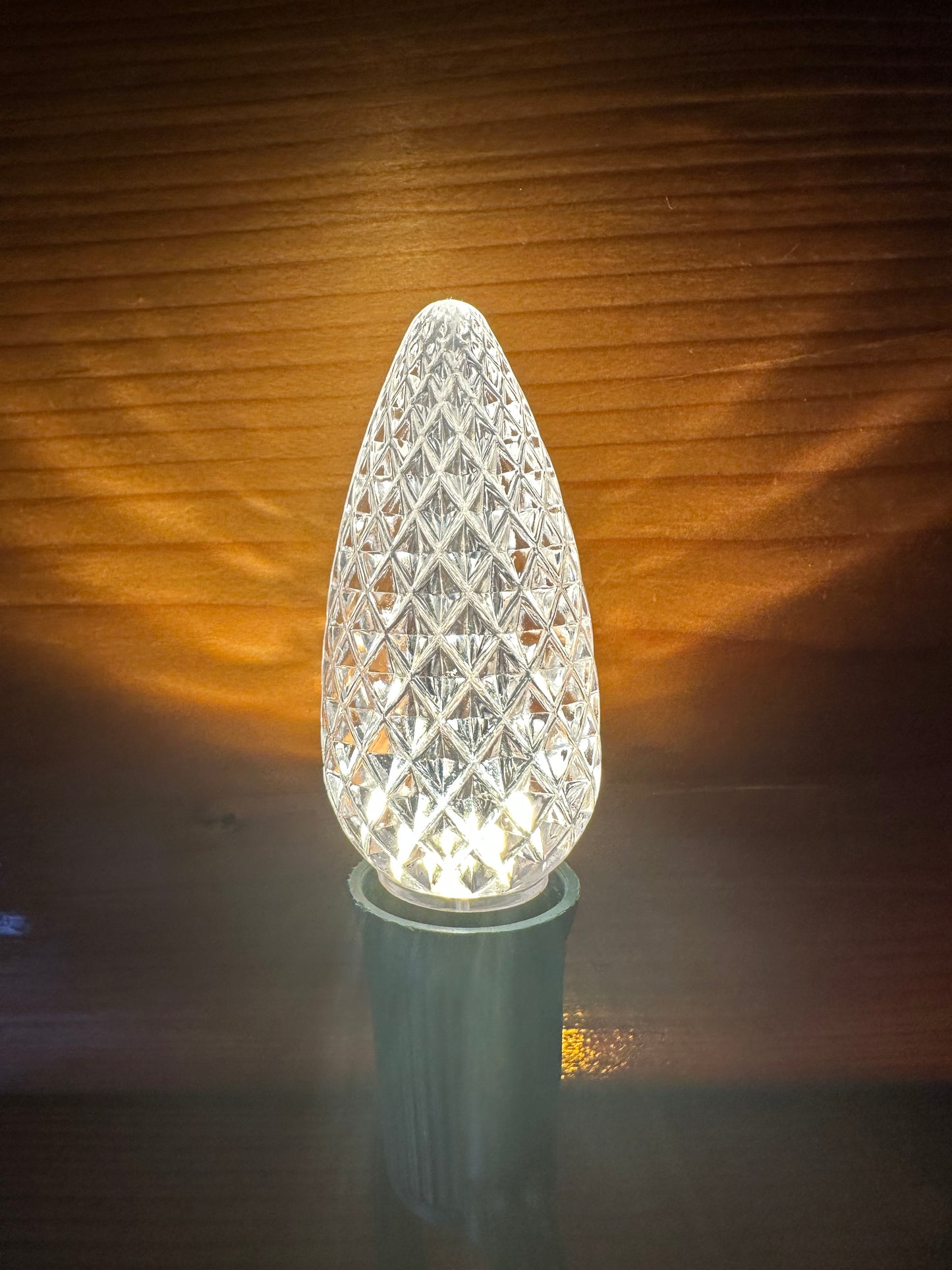 Christmas Lights for BEACH SINGLE FAMILY HOME - PARROT