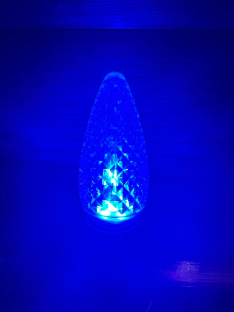 Christmas Lights for BEACH SINGLE FAMILY HOME - PARROT