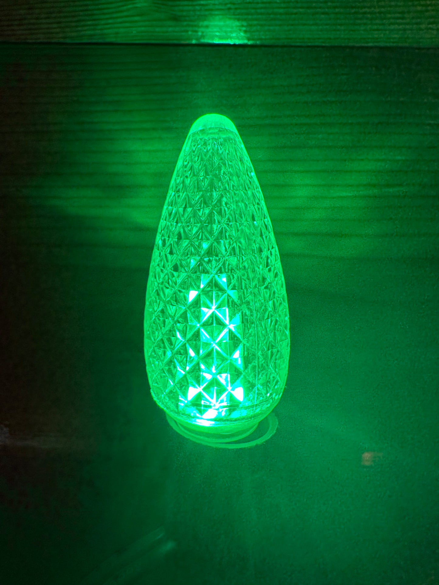 Christmas Lights for BEACH SINGLE FAMILY HOME - PARROT