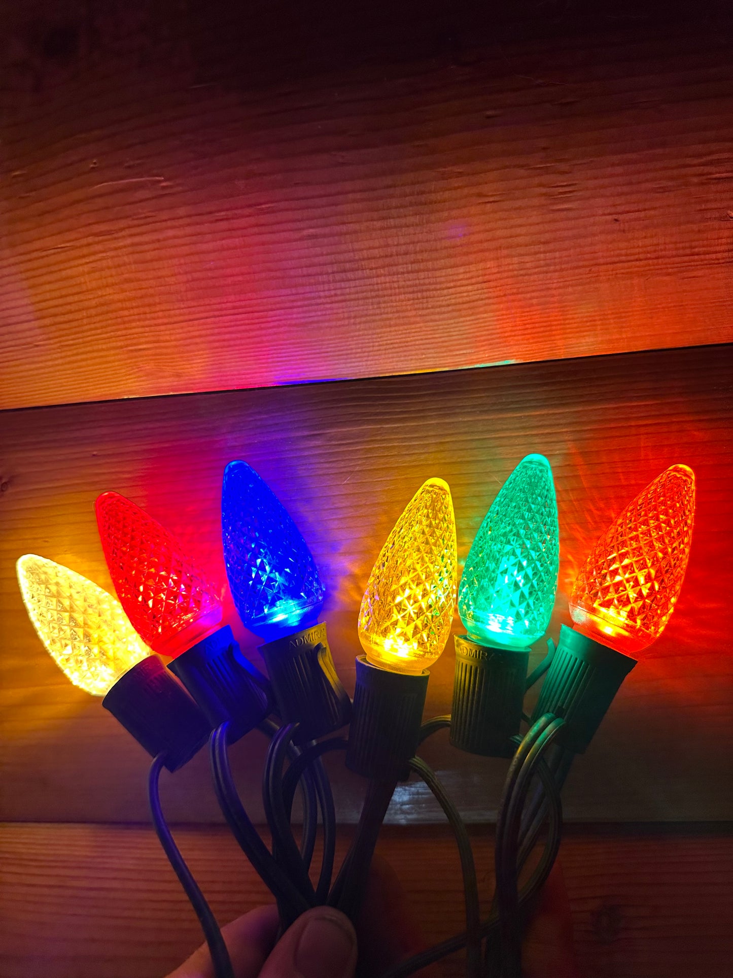 Christmas Lights for BEACH SINGLE FAMILY HOME - PARROT