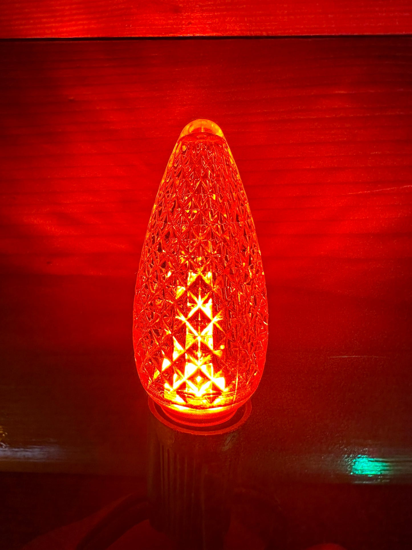Christmas Lights for BEACH SINGLE FAMILY HOME - PARROT
