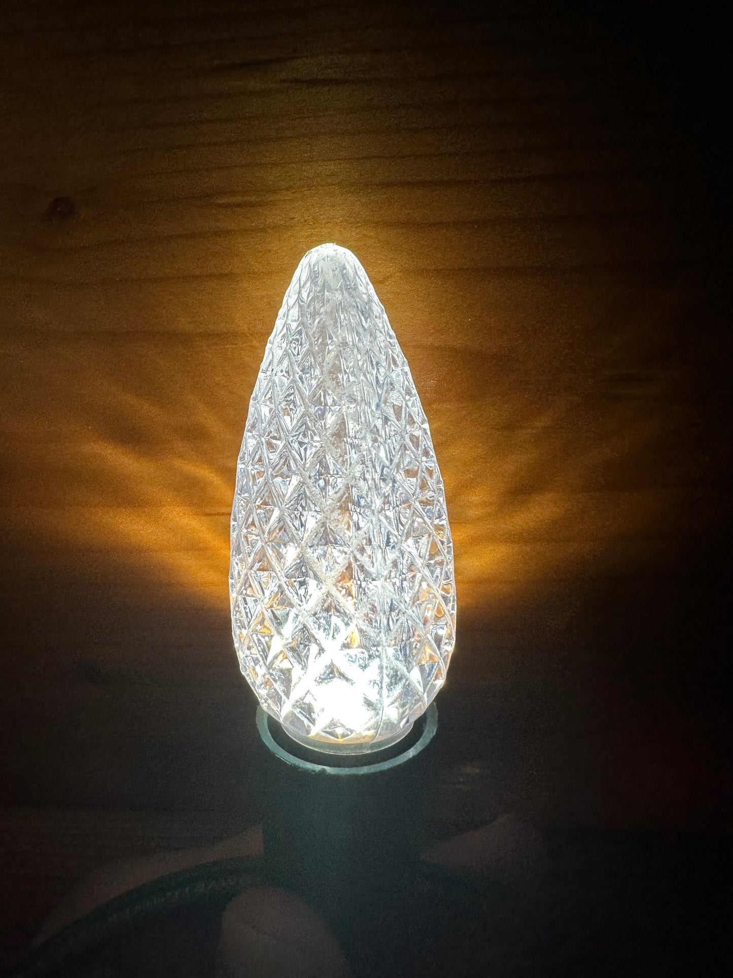 Christmas Lights for BEACH SINGLE FAMILY HOME - PARROT