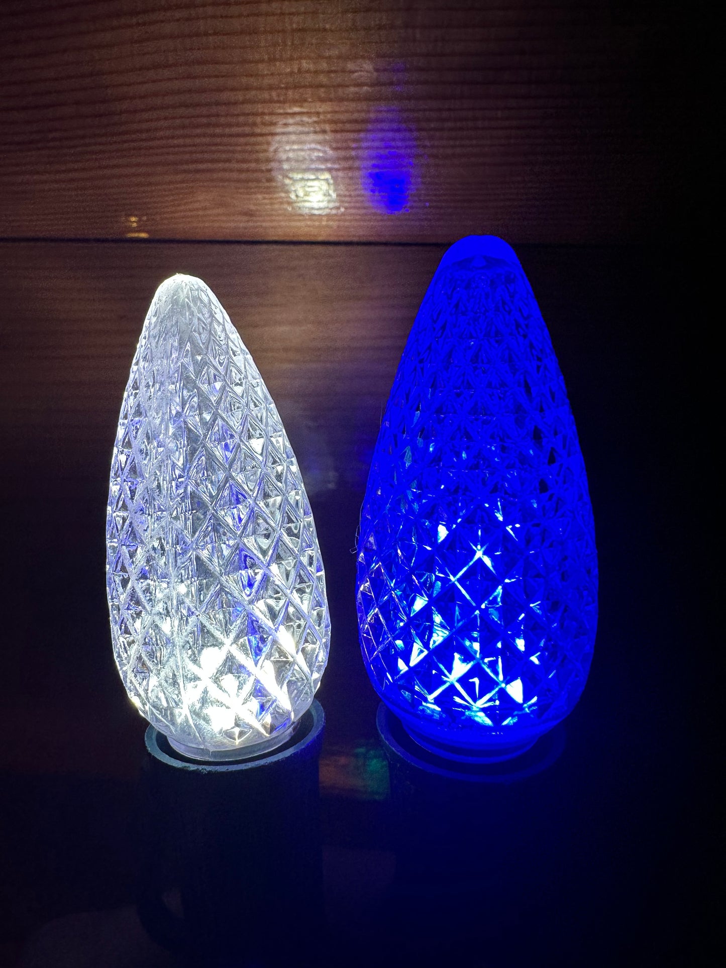 Christmas Lights for BEACH SINGLE FAMILY HOME - PARROT