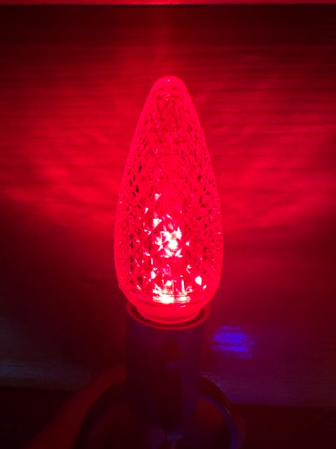 Christmas Lights for BEACH SINGLE FAMILY HOME - PARROT