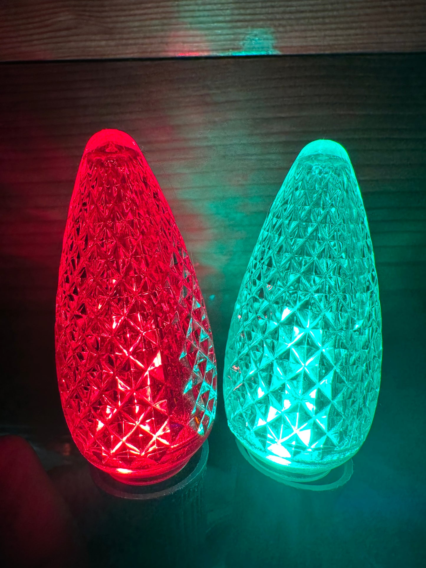 Christmas Lights for BEACH SINGLE FAMILY HOME - PARROT