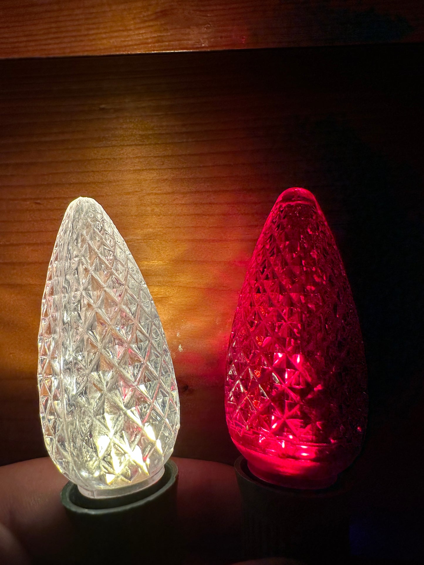 Christmas Lights for BEACH SINGLE FAMILY HOME - PARROT