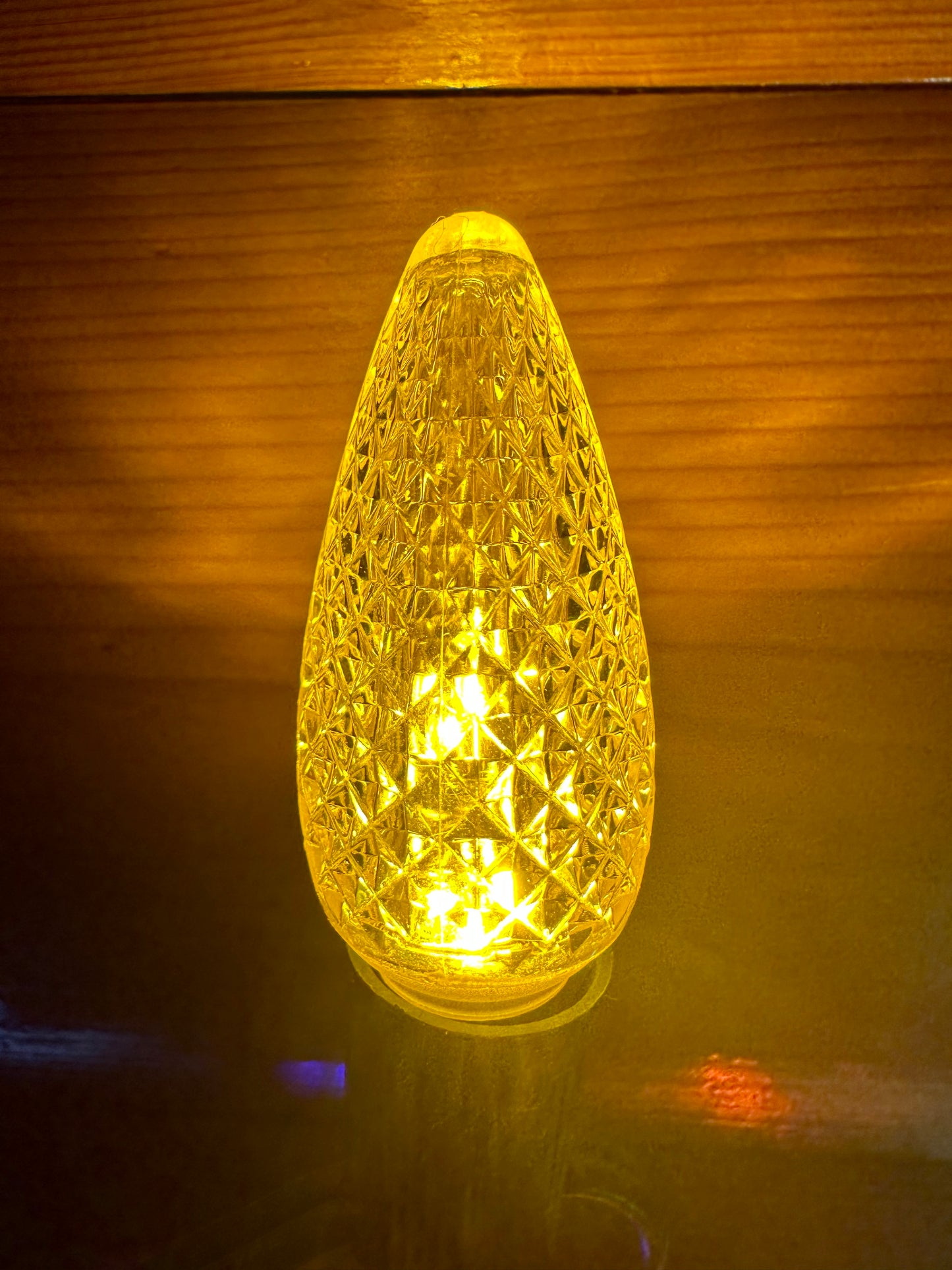 Christmas Lights for BEACH SINGLE FAMILY HOME - PARROT